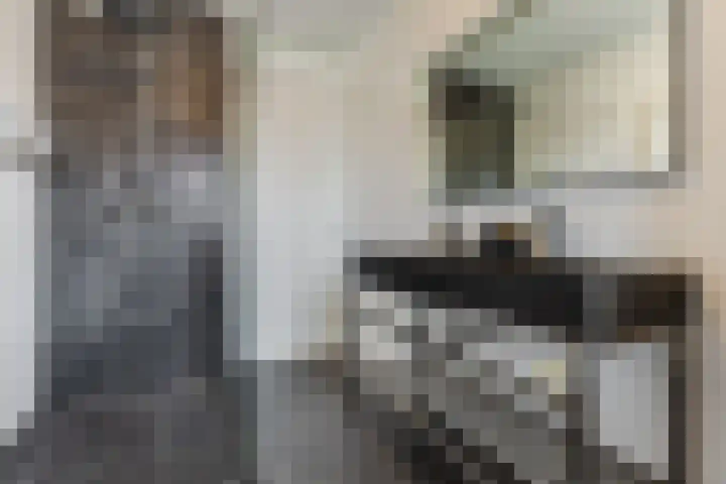 Roosjestin 17 Tiel thumbnail 37