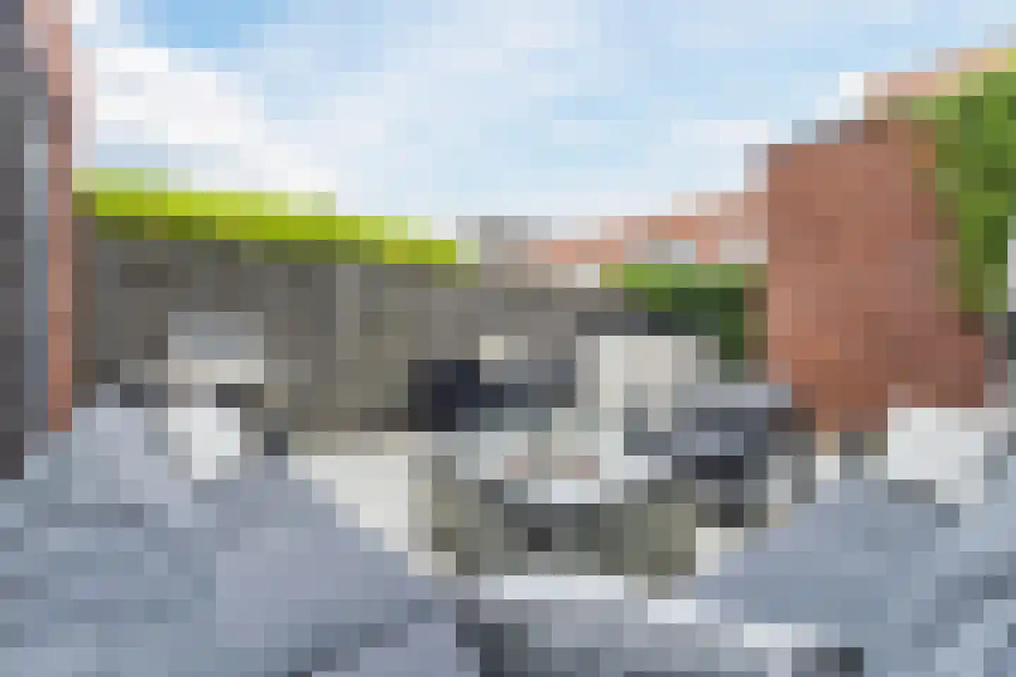 Roosjestin 17 Tiel thumbnail 5