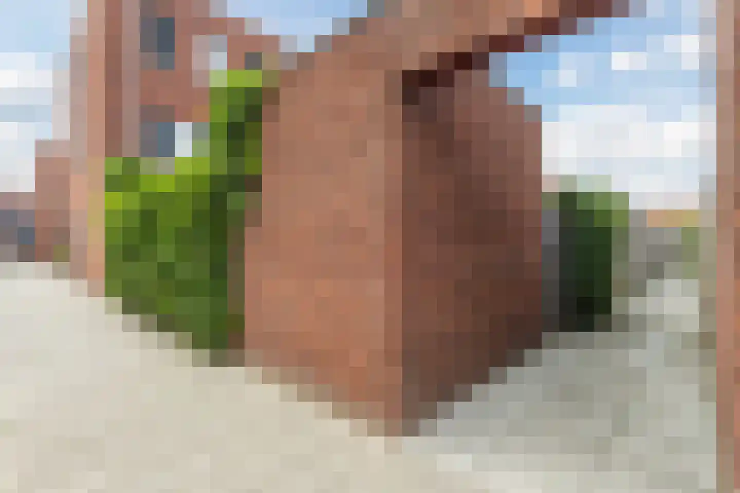 Roosjestin 17 Tiel thumbnail 54