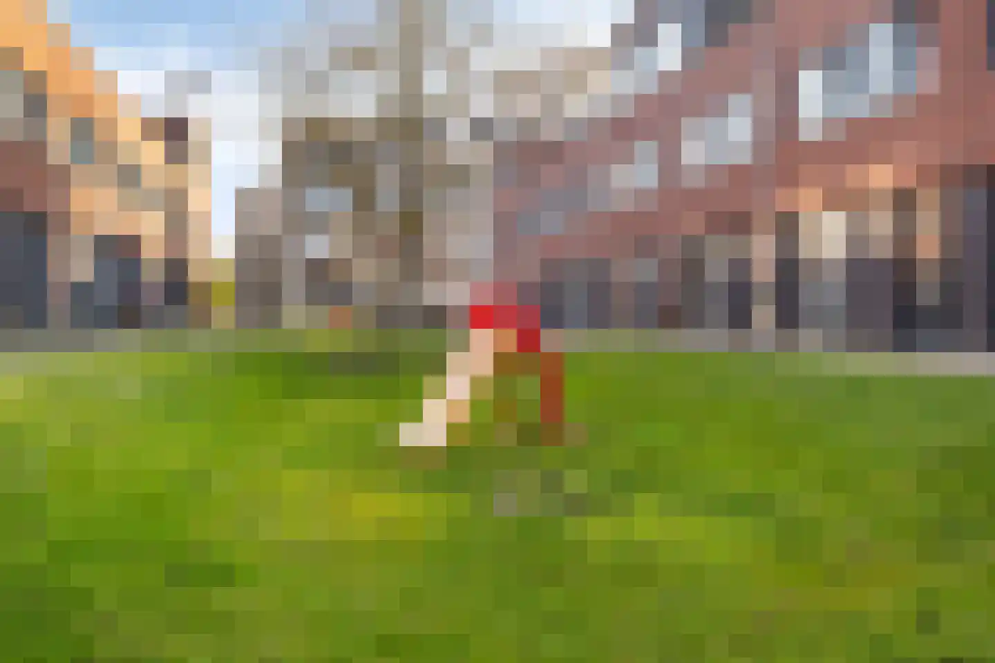 Roosjestin 18 Tiel thumbnail 29