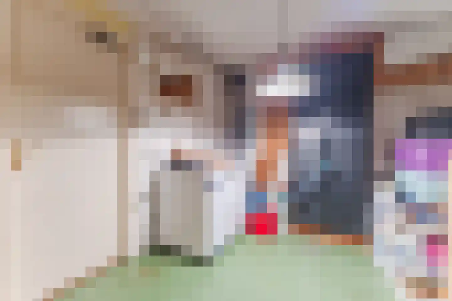 Roosmarijnhof 3 Duivendrecht thumbnail 24