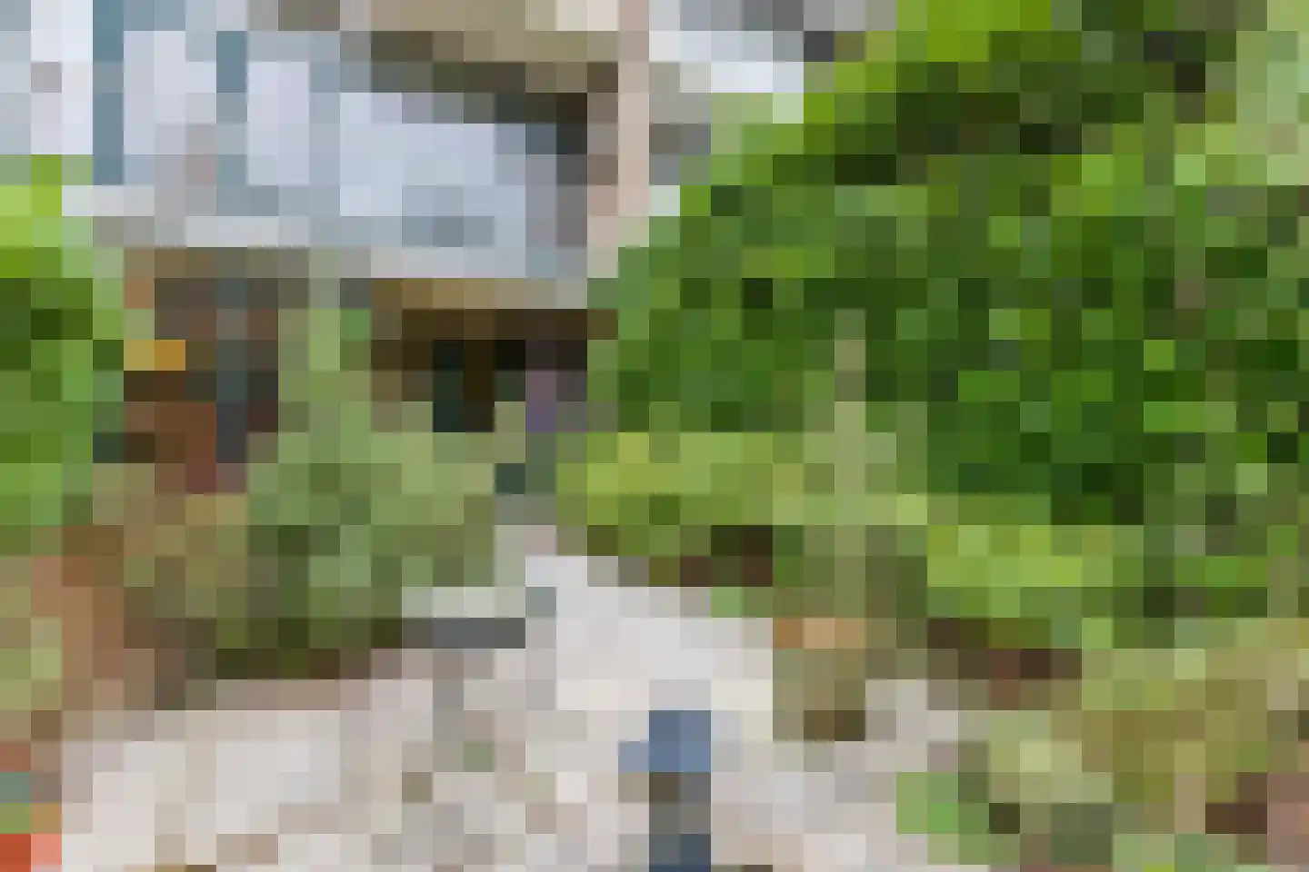 Roosmarijnhof 3 Duivendrecht thumbnail 61