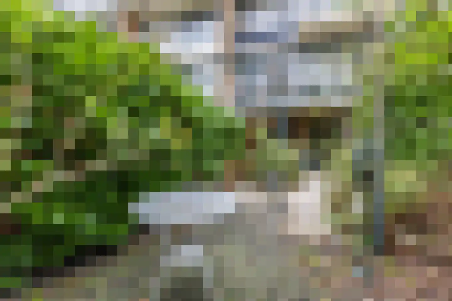 Roosmarijnhof 3 Duivendrecht thumbnail 64