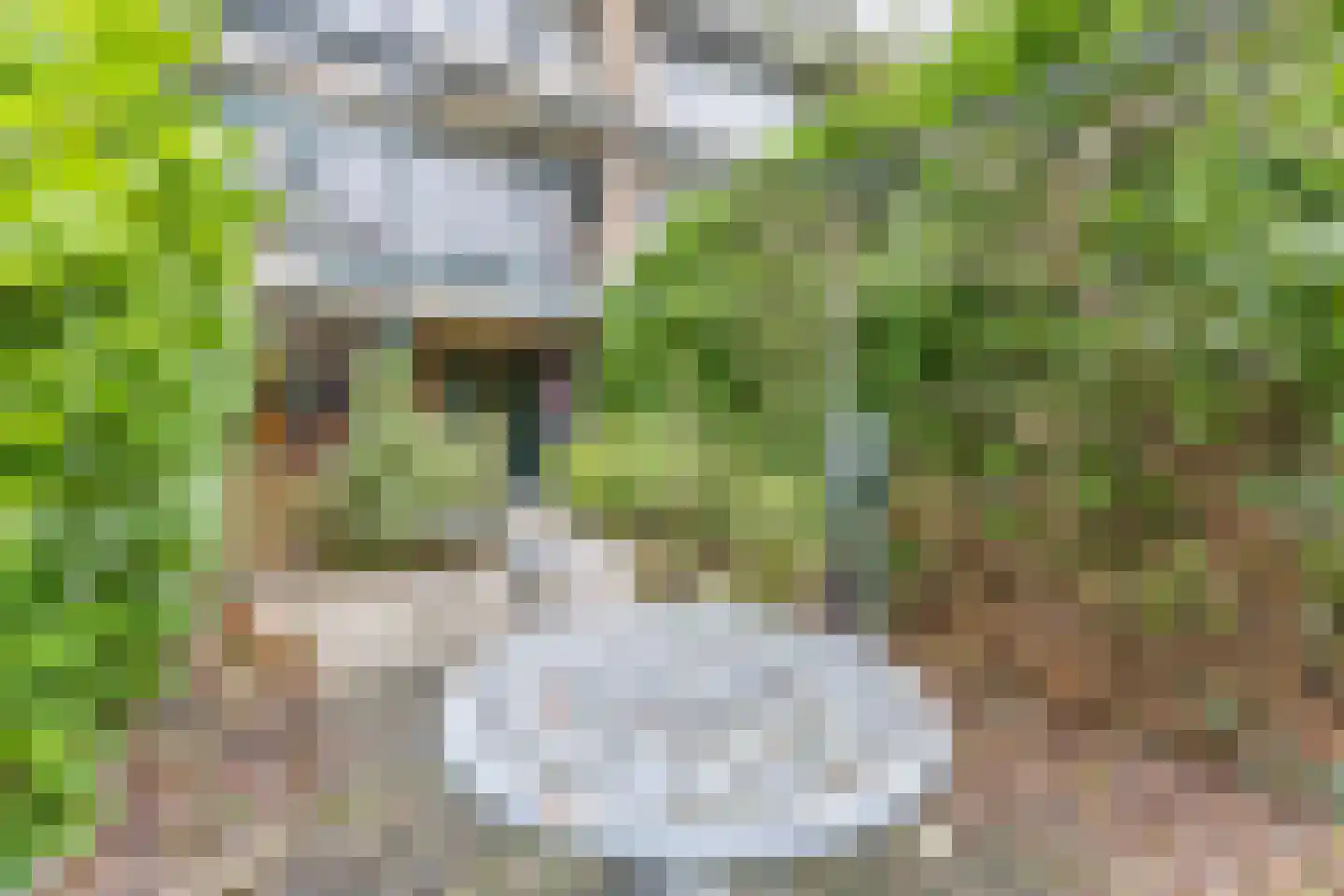 Roosmarijnhof 3 Duivendrecht thumbnail 65