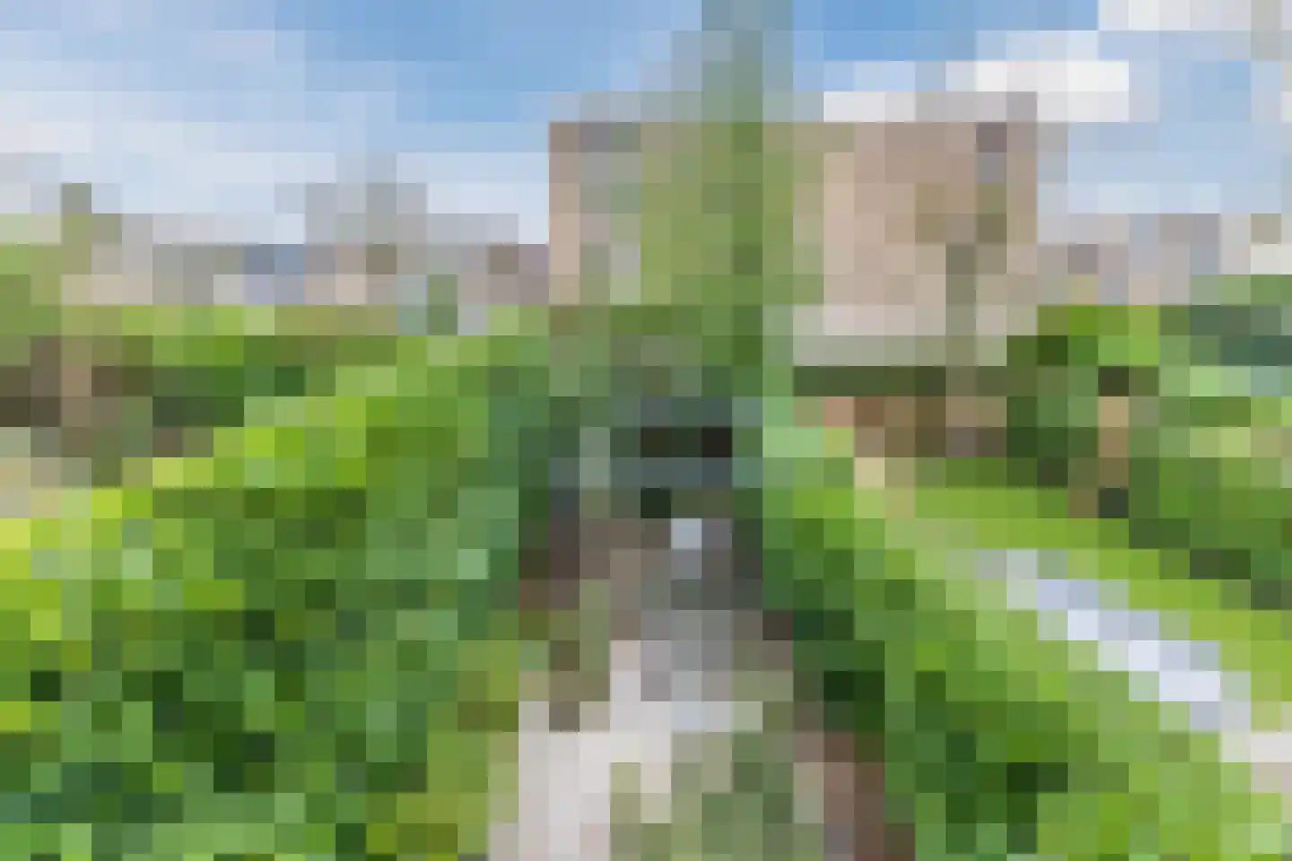 Roosmarijnhof 3 Duivendrecht thumbnail 7