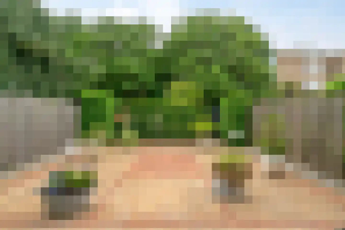 Roosmarijnhof 34 Duivendrecht thumbnail 19