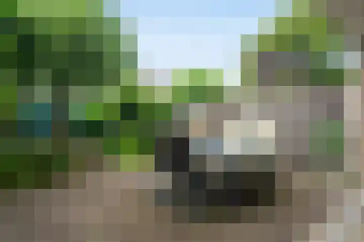 Roosmarijnhof 41 Duivendrecht thumbnail 10