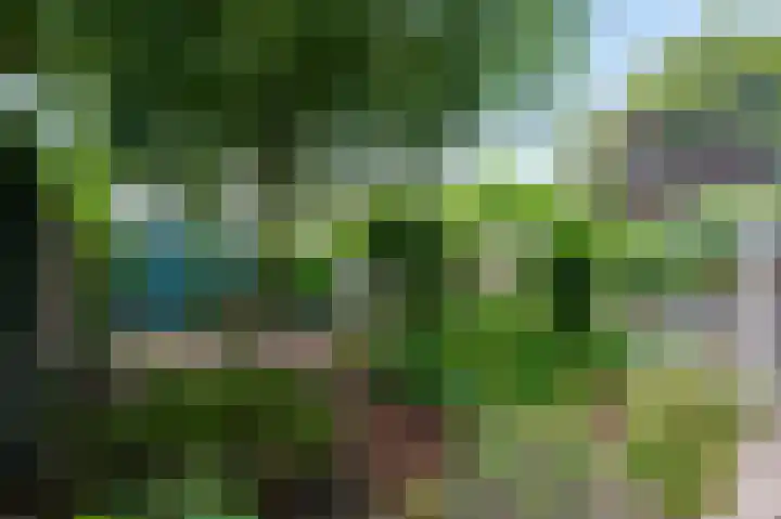 Roosmarijnhof 41 Duivendrecht thumbnail 11