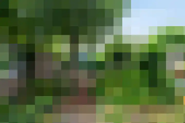 Roosmarijnhof 41 Duivendrecht thumbnail 12