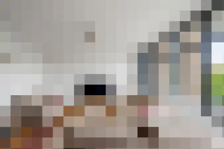 Roosmarijnhof 41 Duivendrecht thumbnail 19