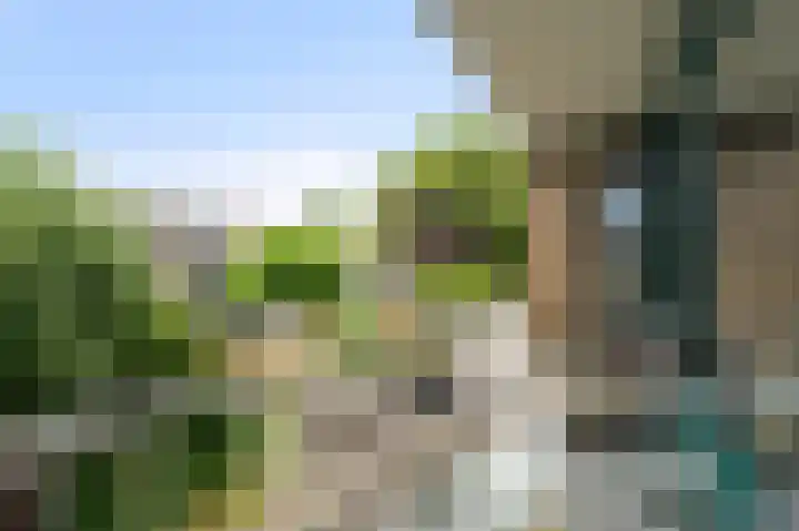 Roosmarijnhof 41 Duivendrecht thumbnail 23