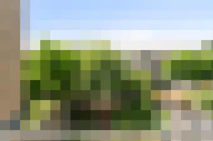 Roosmarijnhof 41 Duivendrecht thumbnail 24