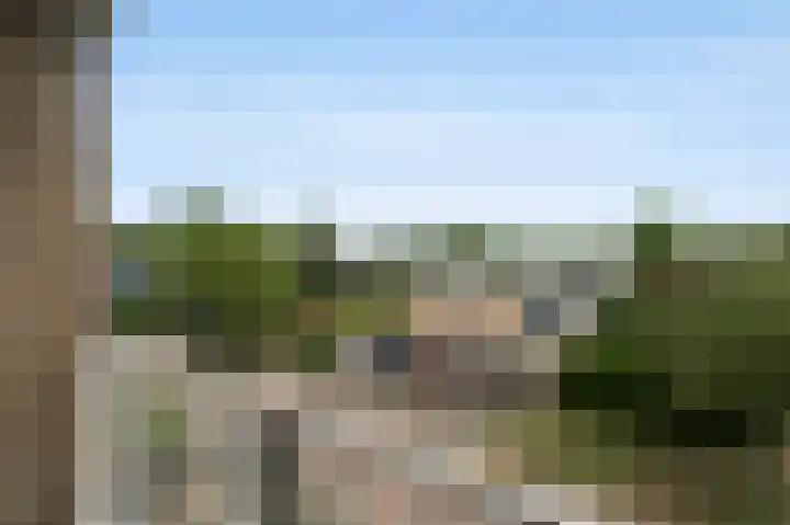 Roosmarijnhof 41 Duivendrecht thumbnail 38