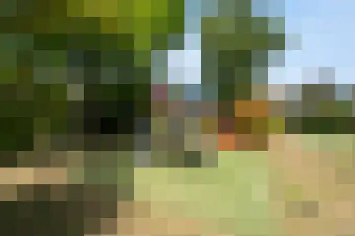 Roosmarijnhof 41 Duivendrecht thumbnail 44