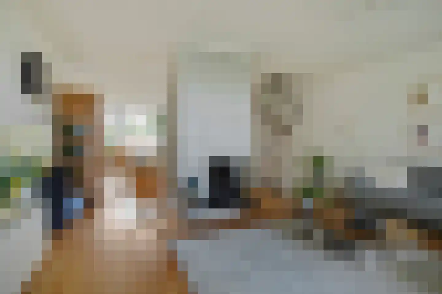 Roosmarijnhof 44 Duivendrecht thumbnail 20