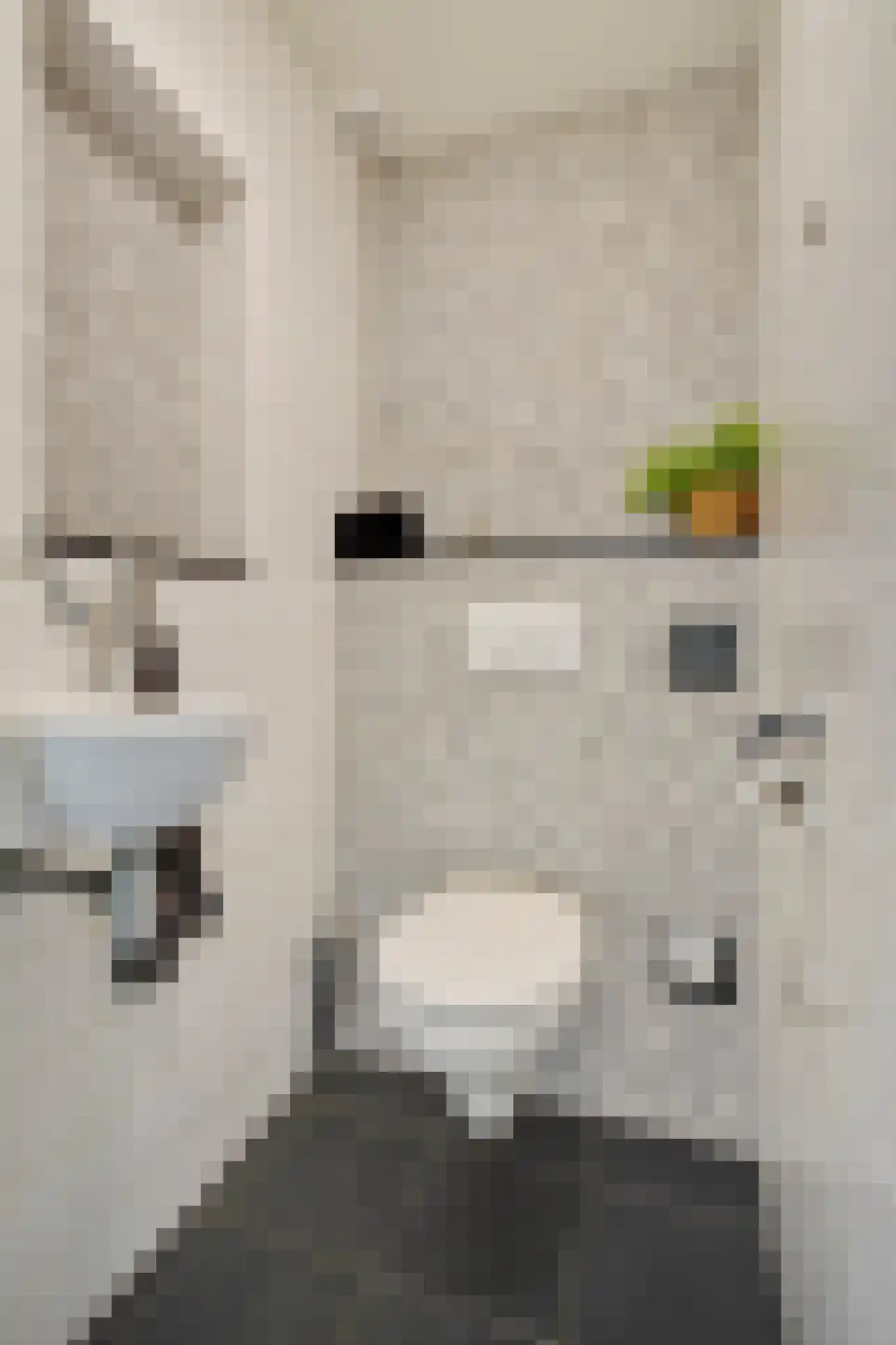 Roosmarijnhof 44 Duivendrecht thumbnail 37