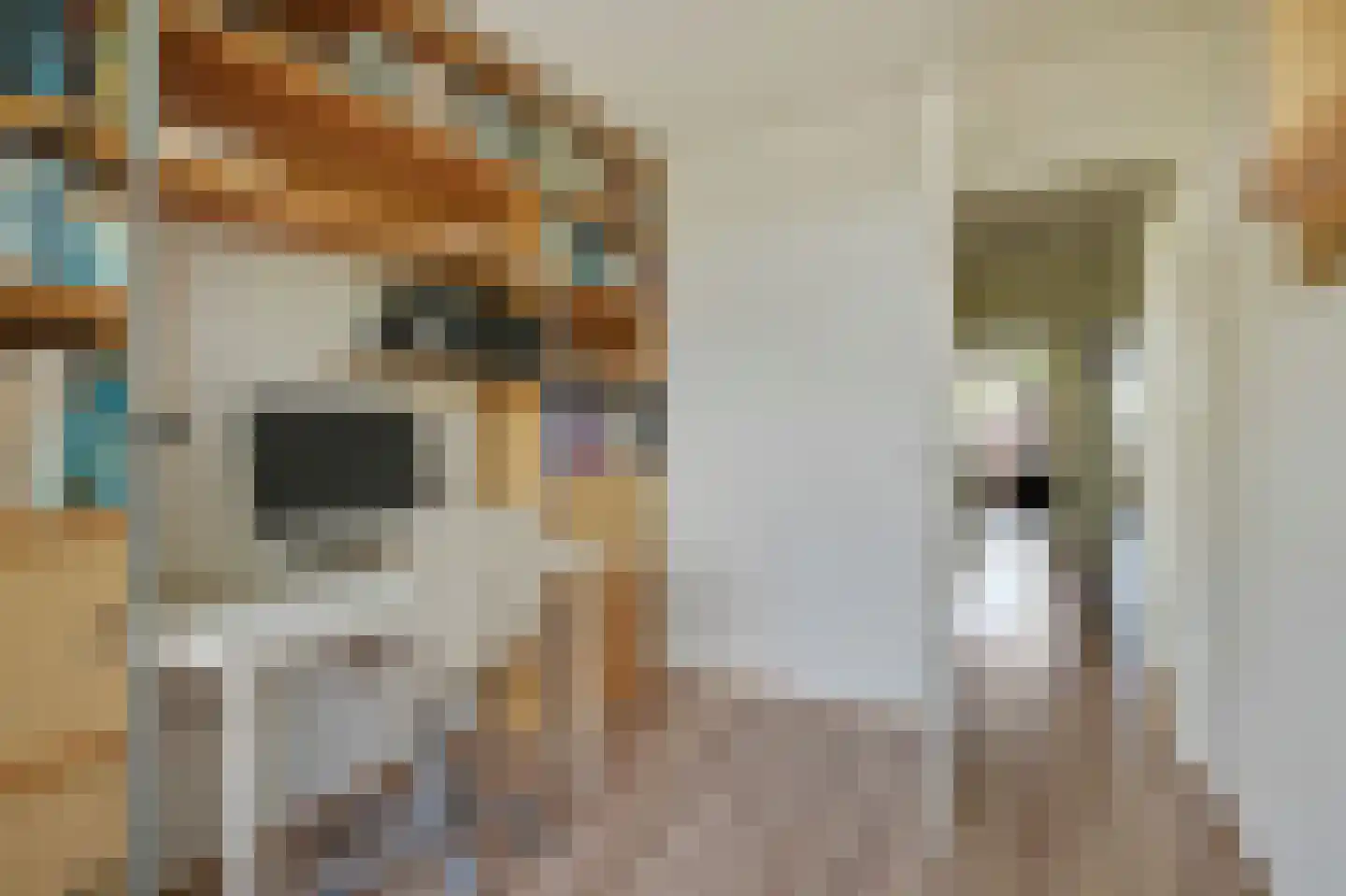 Roosmarijnhof 44 Duivendrecht thumbnail 39
