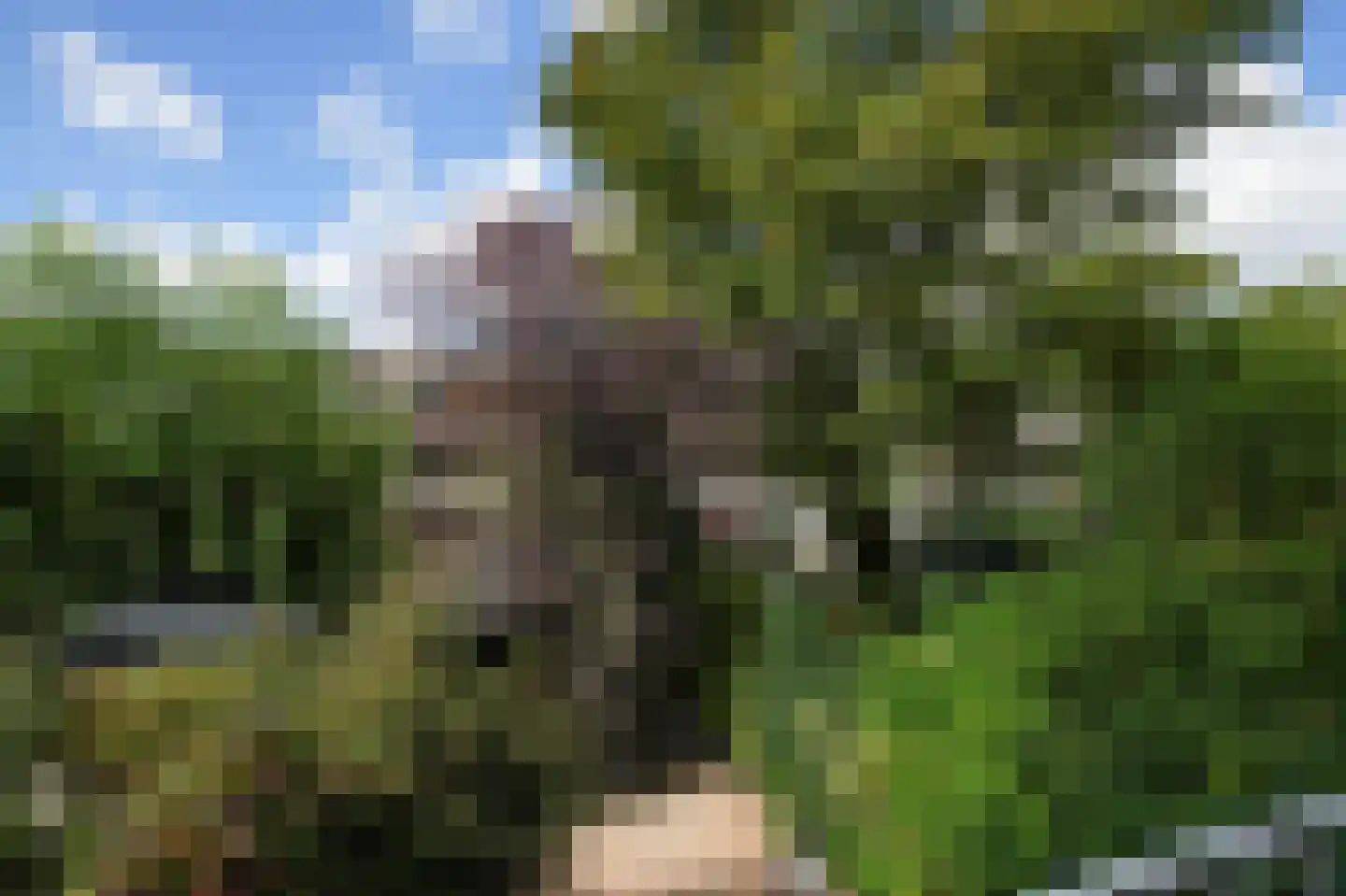 Roosmarijnhof 44 Duivendrecht thumbnail 43
