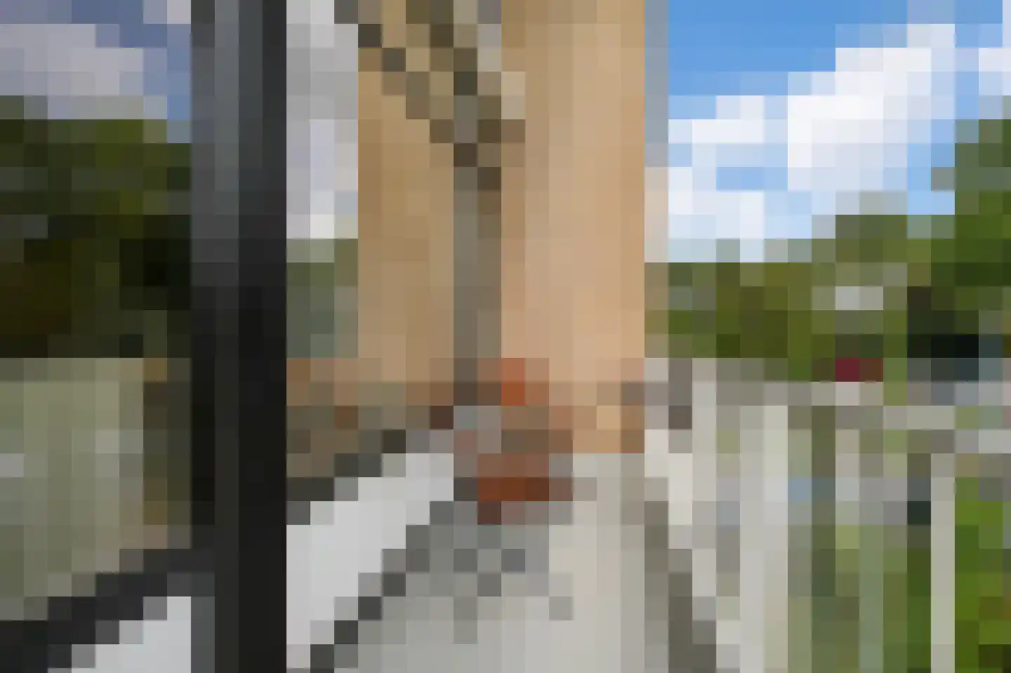 Roosmarijnhof 44 Duivendrecht thumbnail 44