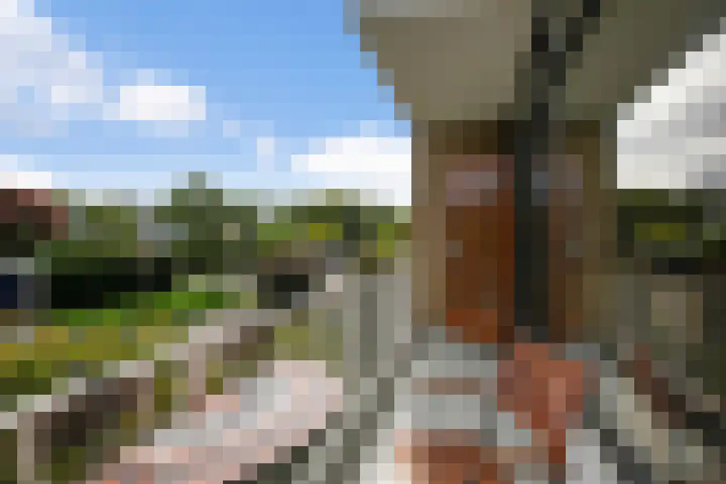 Roosmarijnhof 44 Duivendrecht thumbnail 46