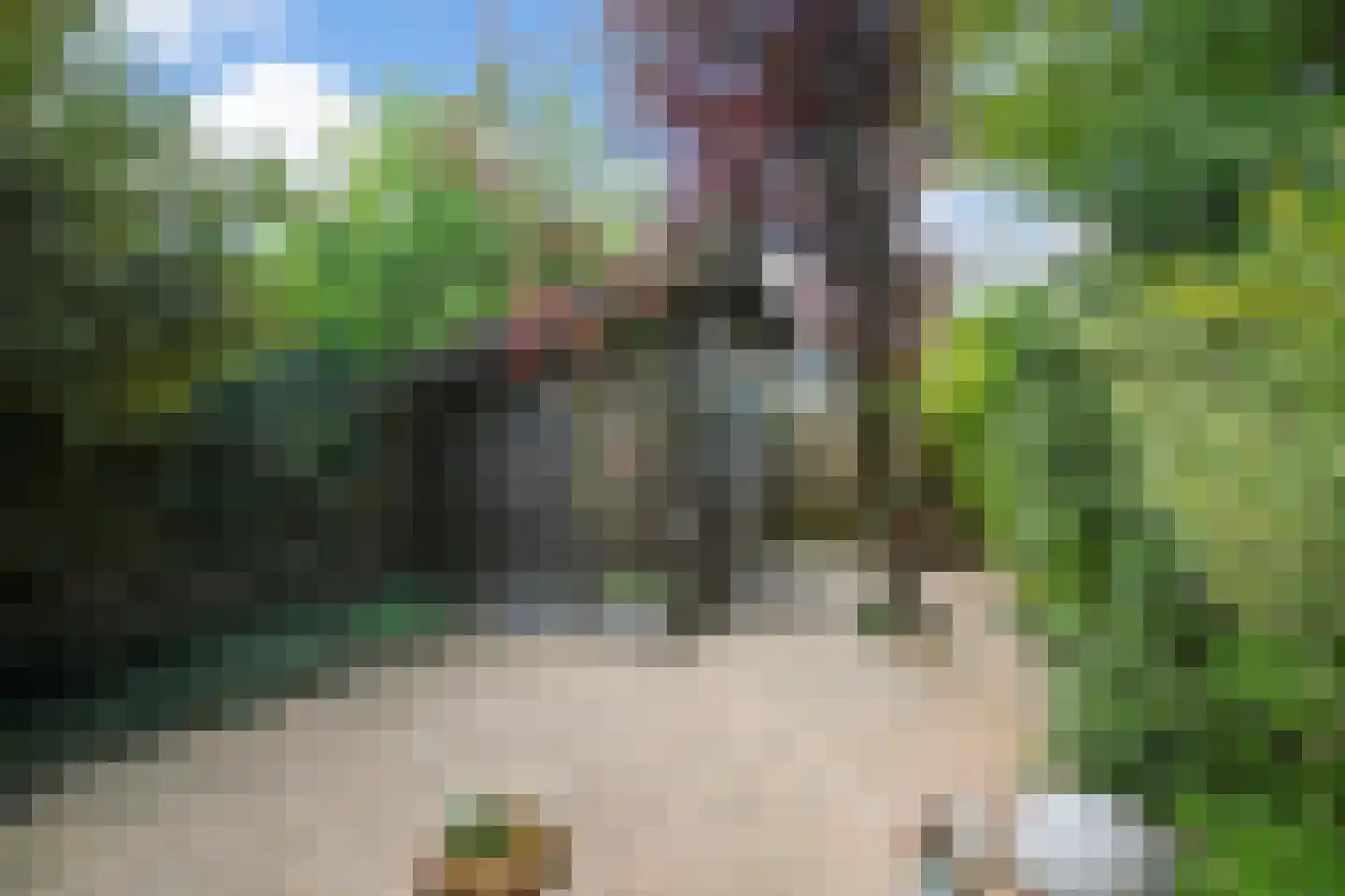 Roosmarijnhof 44 Duivendrecht thumbnail 48