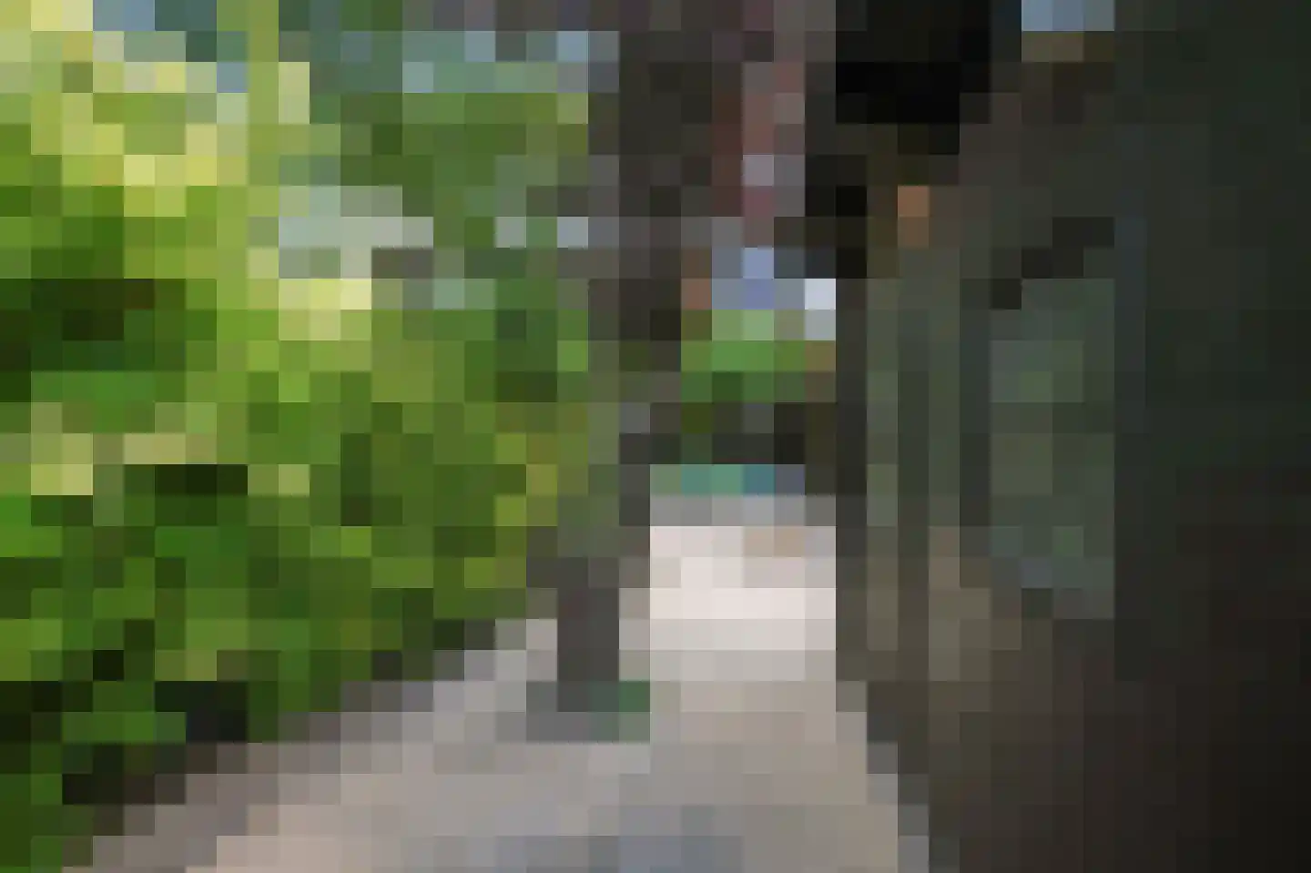 Roosmarijnhof 44 Duivendrecht thumbnail 52