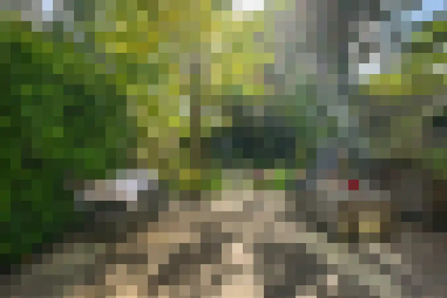 Roosmarijnhof 9 Duivendrecht thumbnail 10