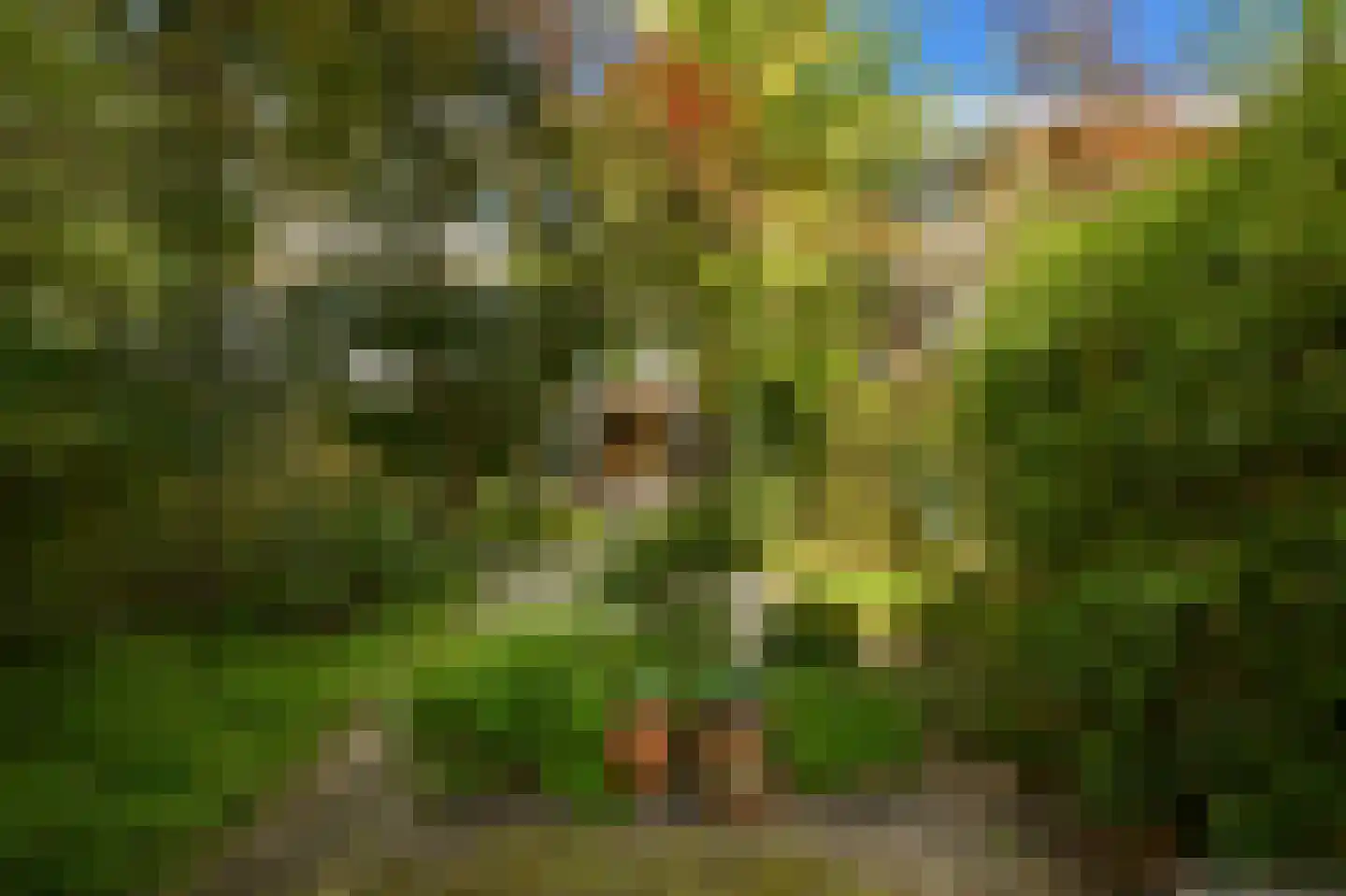 Roosmarijnhof 9 Duivendrecht thumbnail 33