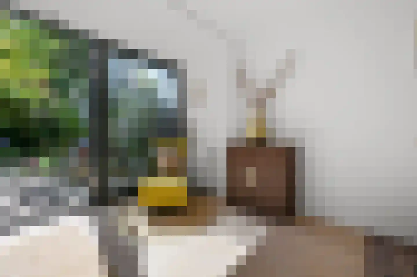 Roosmarijnhof 9 Duivendrecht thumbnail 8