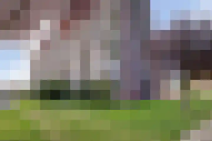 Roosstraat 54 Zwijndrecht thumbnail 37