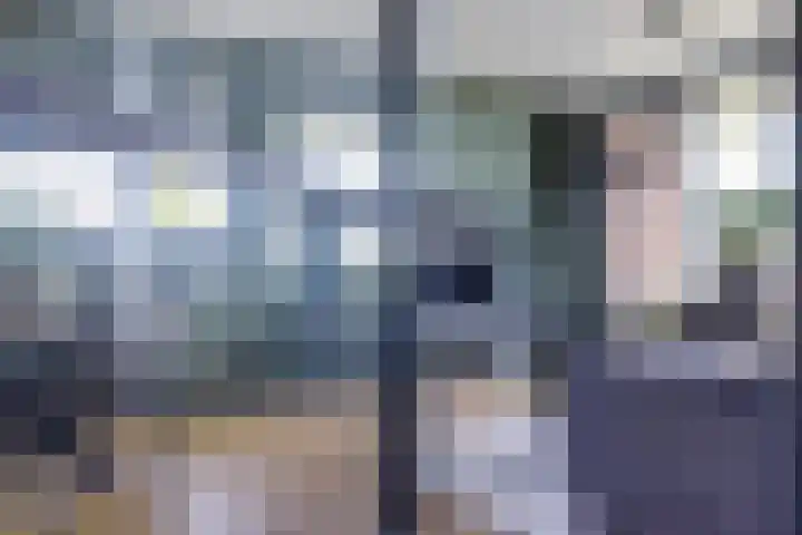 Roosstraat 54 Zwijndrecht thumbnail 8