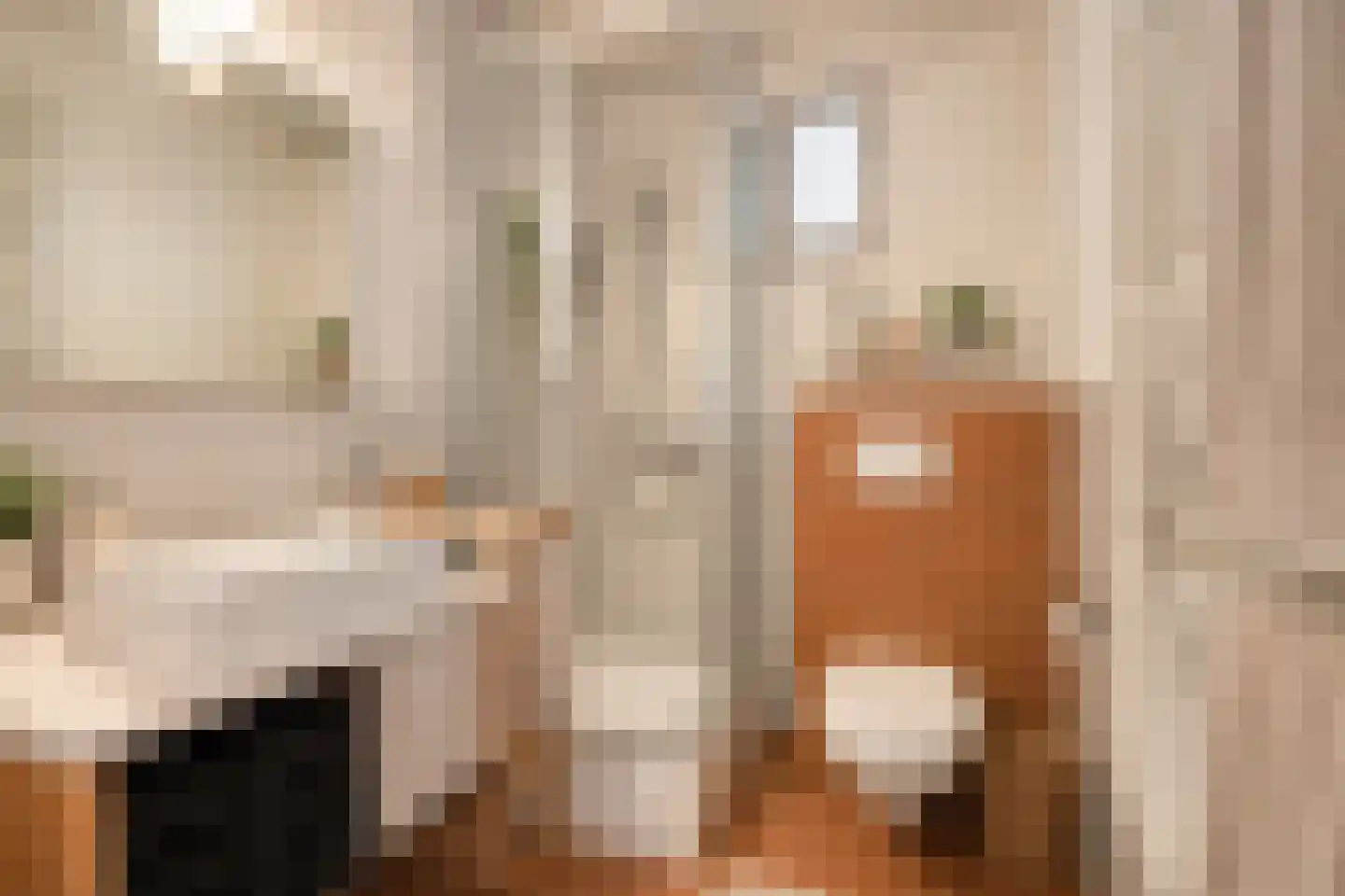 Roostenlaan 122 Eindhoven thumbnail 10