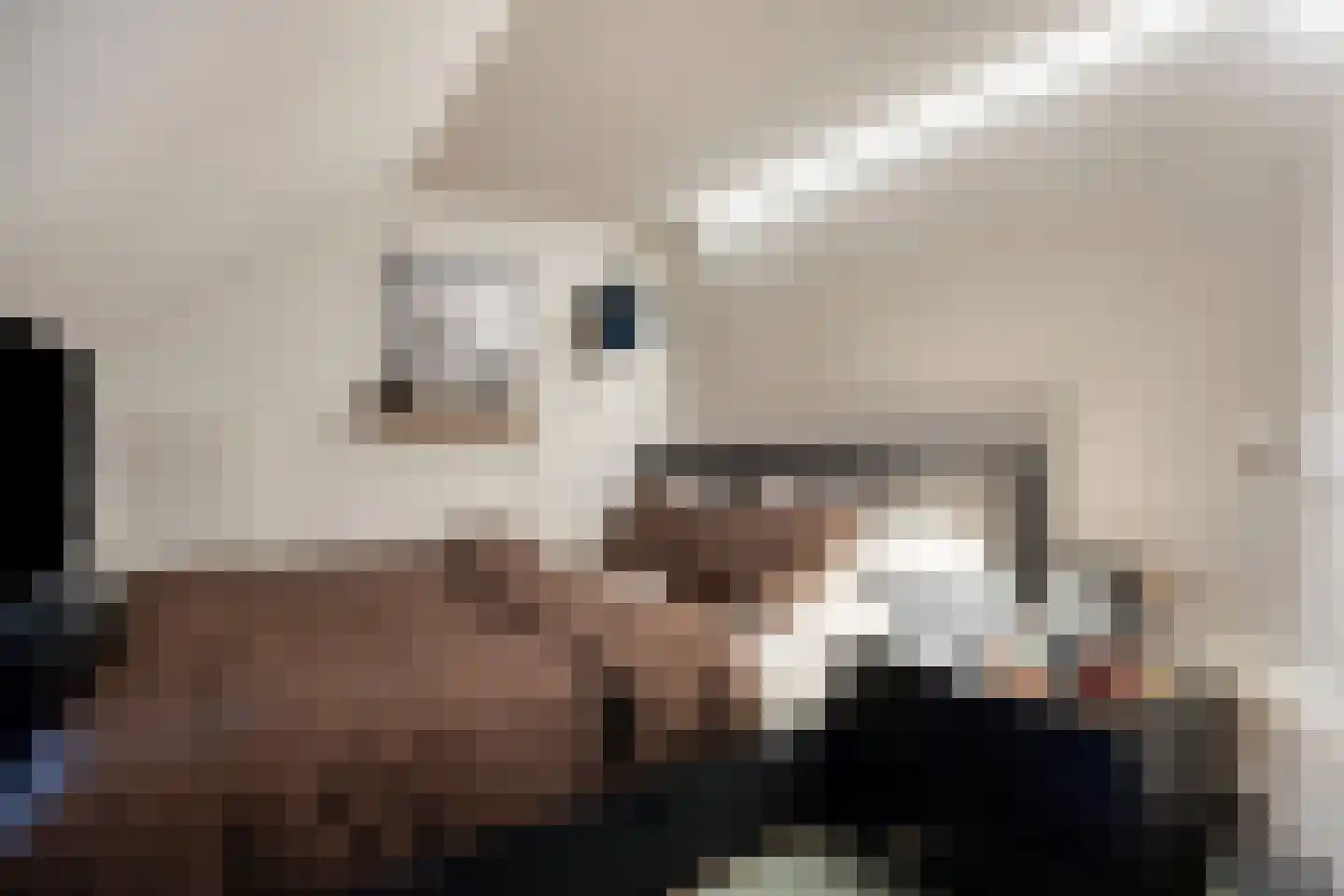 Roostenlaan 122 Eindhoven thumbnail 16