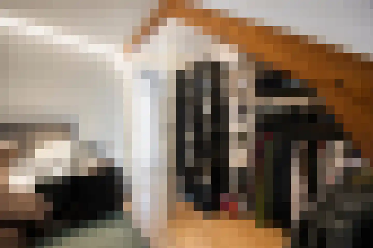 Roostenlaan 122 Eindhoven thumbnail 17