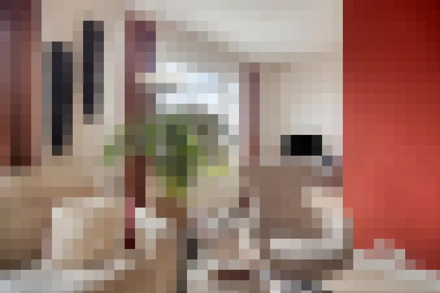 Roostenlaan 122 Eindhoven thumbnail 6