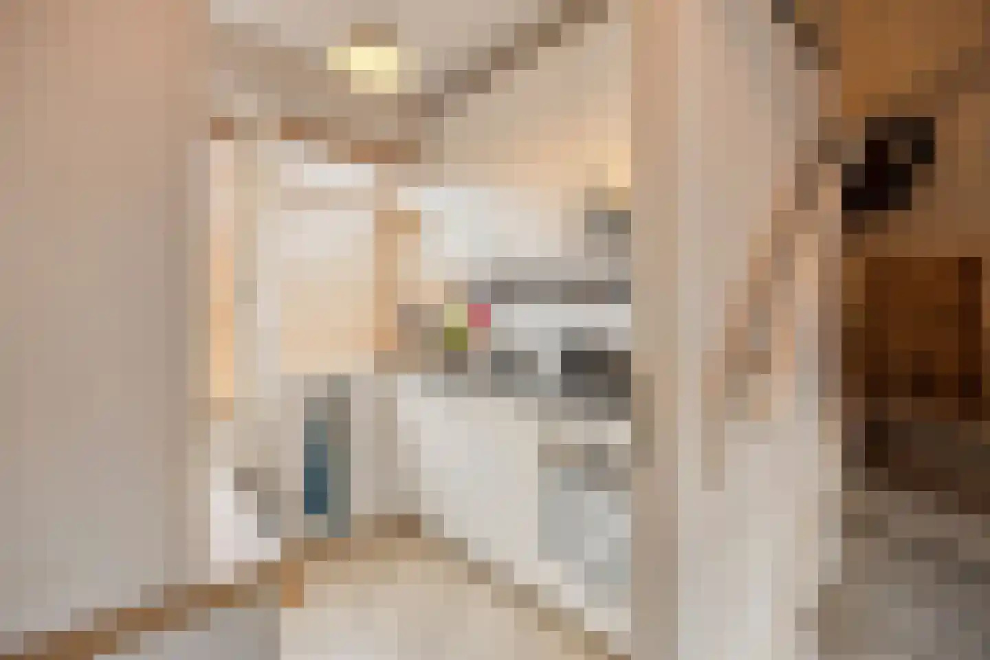 Roostenlaan 122 Eindhoven thumbnail 9