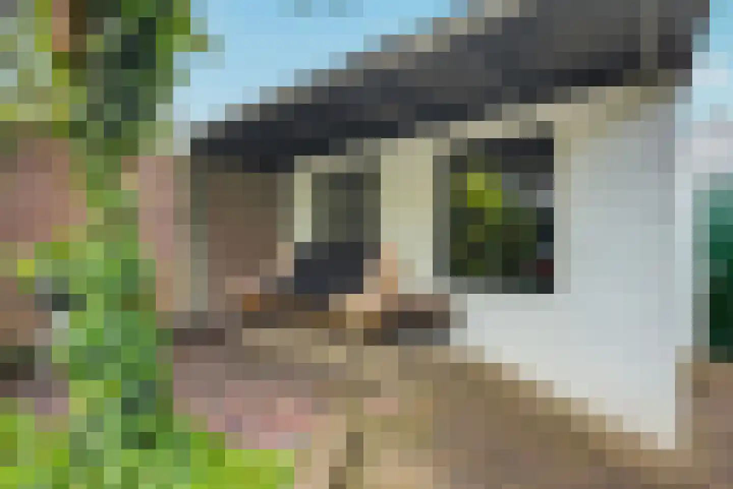 Roostenlaan 150 Eindhoven thumbnail 18