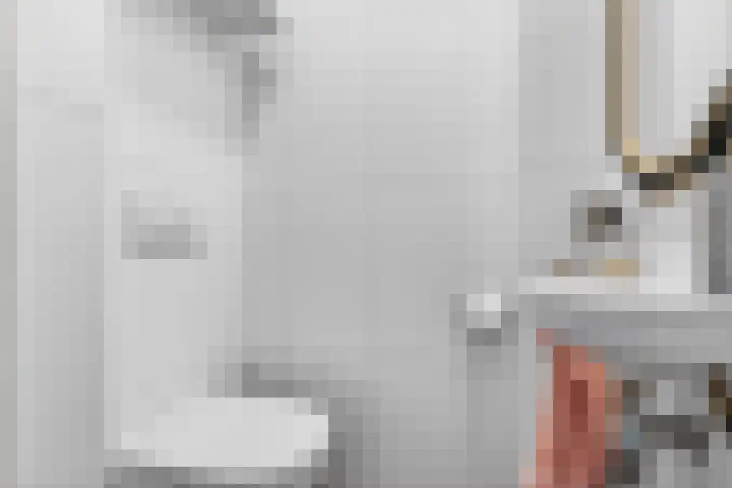 Roostenlaan 150 Eindhoven thumbnail 22