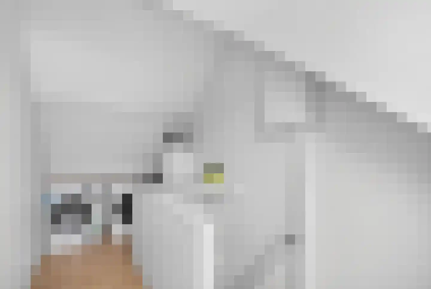 Roostenlaan 150 Eindhoven thumbnail 33