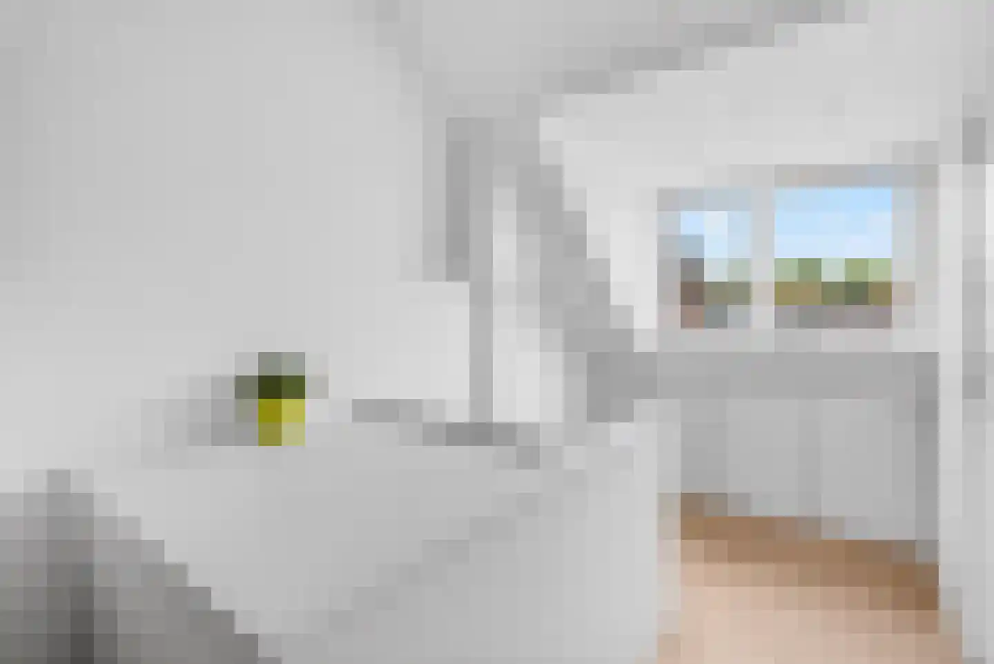 Roostenlaan 150 Eindhoven thumbnail 34