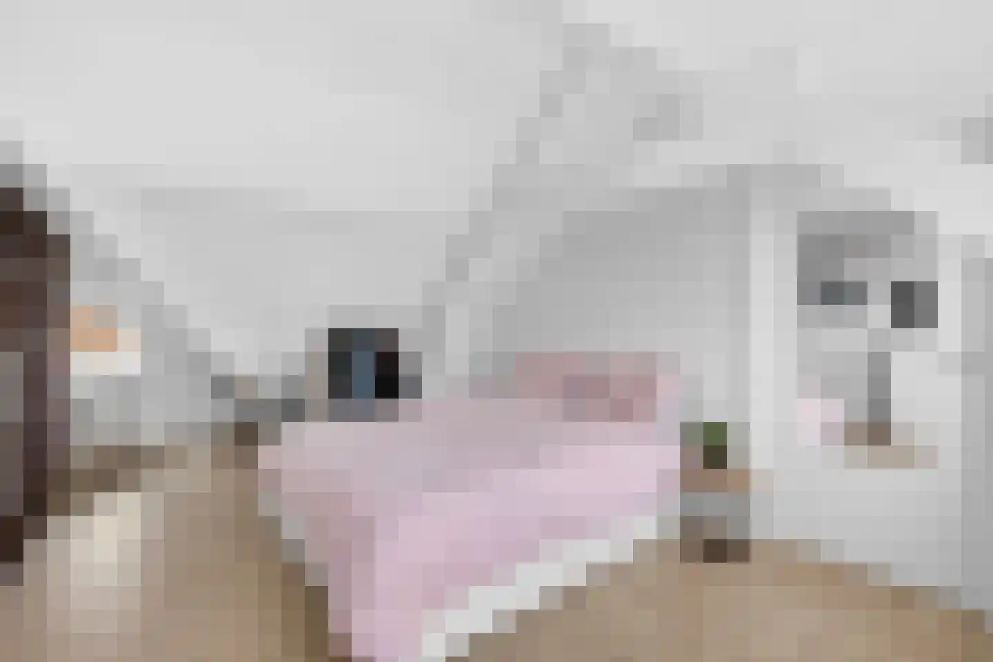 Roostenlaan 150 Eindhoven thumbnail 35