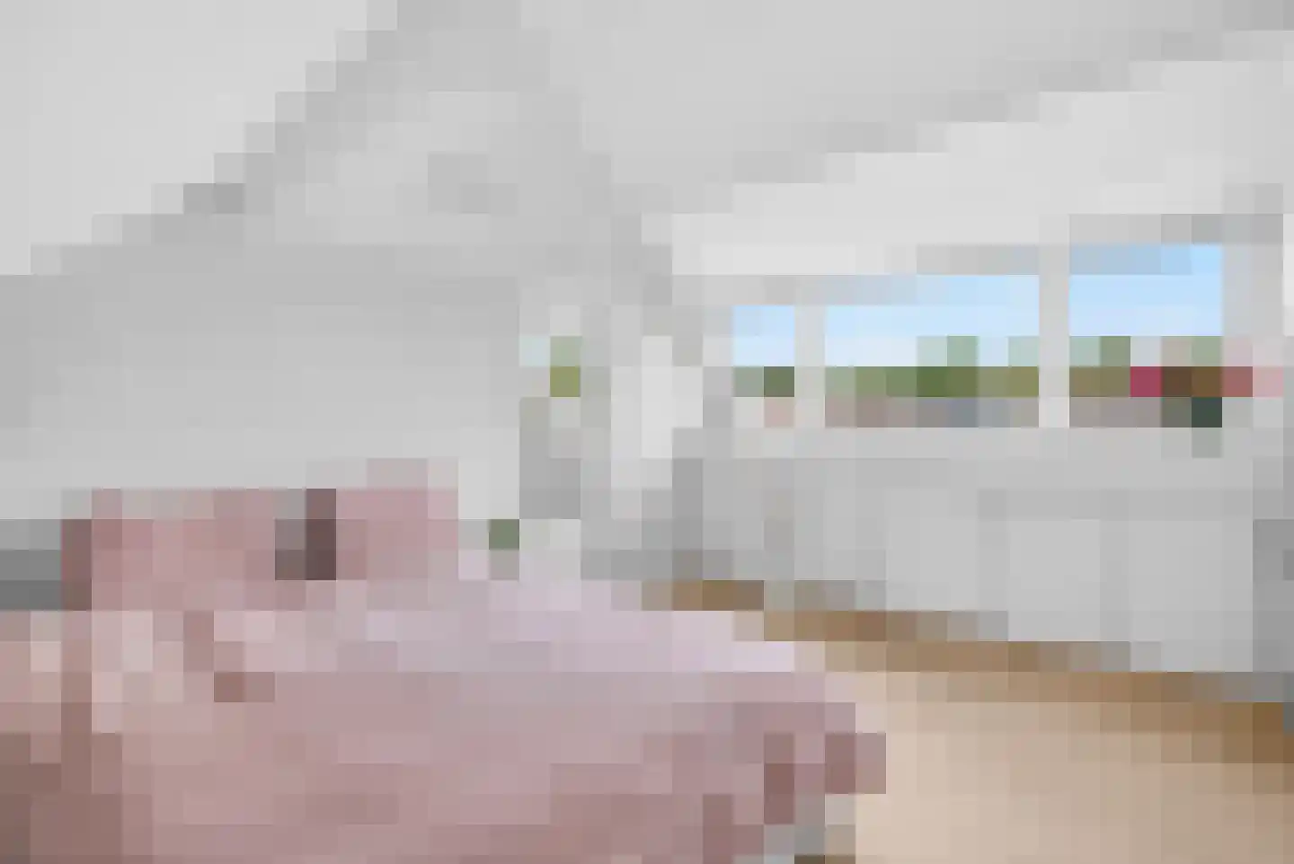 Roostenlaan 150 Eindhoven thumbnail 37