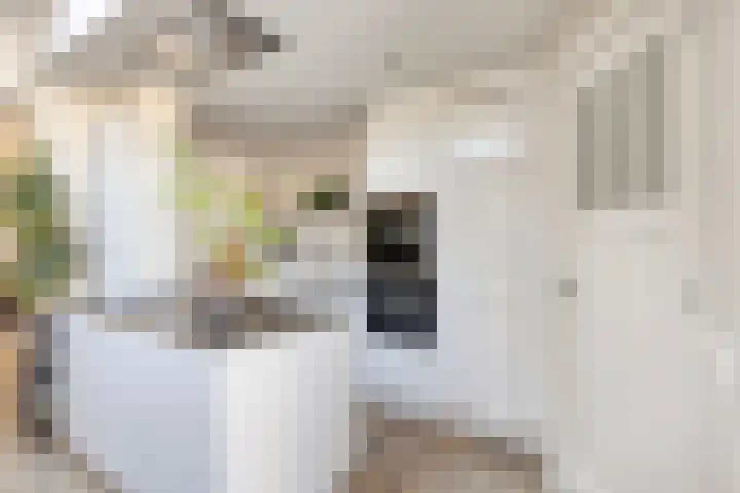 Roostenlaan 154 Eindhoven thumbnail 14