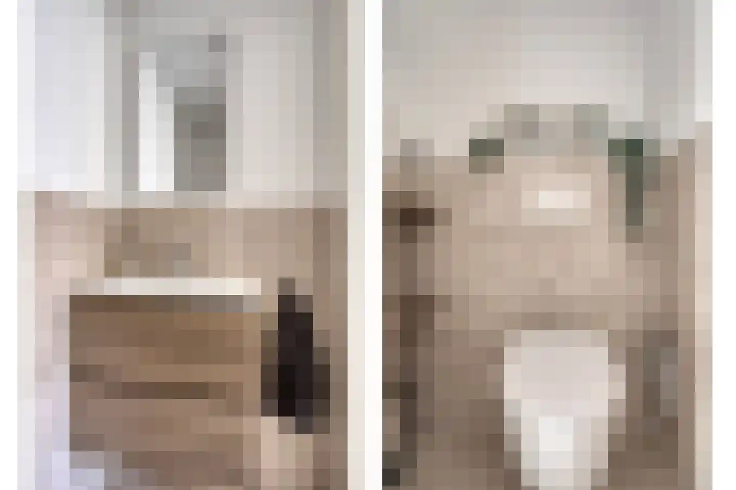 Roostenlaan 154 Eindhoven thumbnail 23