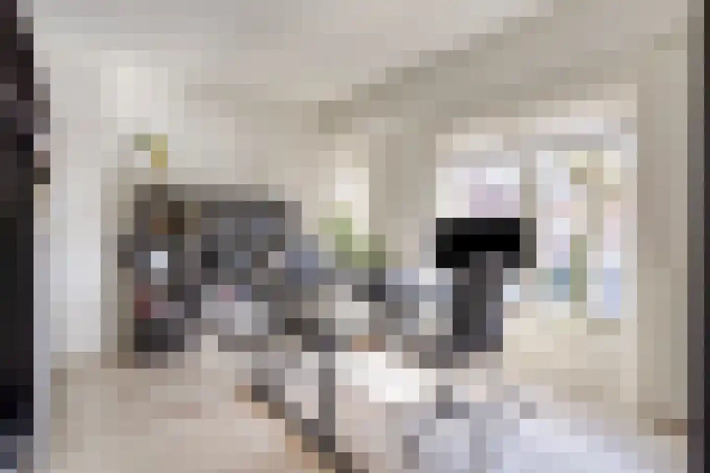 Roostenlaan 154 Eindhoven thumbnail 31