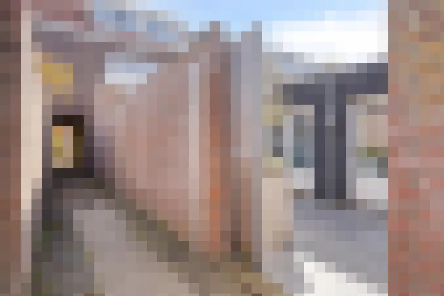 Roostenlaan 154 Eindhoven thumbnail 42