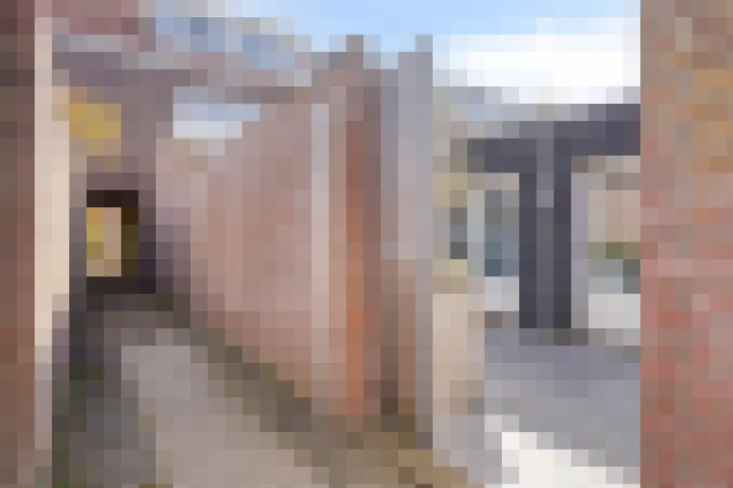 Roostenlaan 154 Eindhoven thumbnail 43
