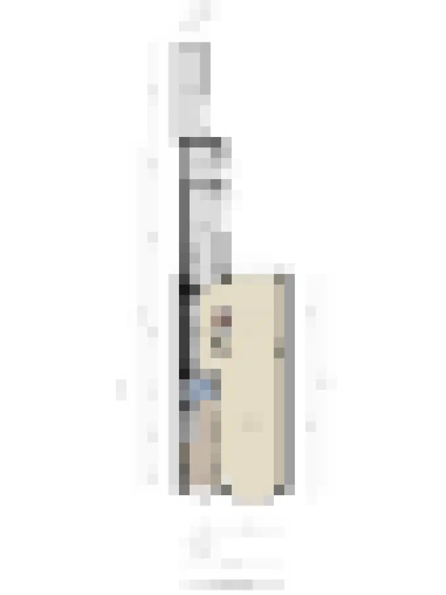 Roostenlaan 154 Eindhoven thumbnail 51