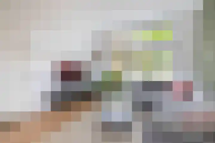 Roostenlaan 163 Eindhoven thumbnail 11