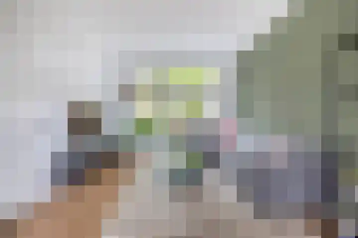 Roostenlaan 163 Eindhoven thumbnail 12